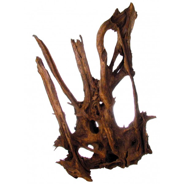 Akváriový koreň Mangrovewood 50-65cm
