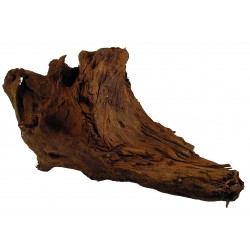 Akváriový koreň Elbasia Driftwood L 35-40cm